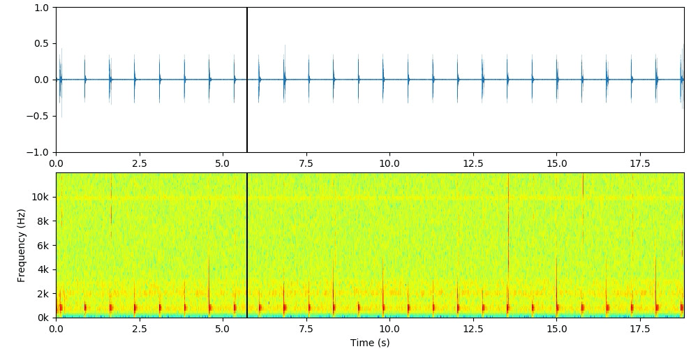 Spectrogam Animation